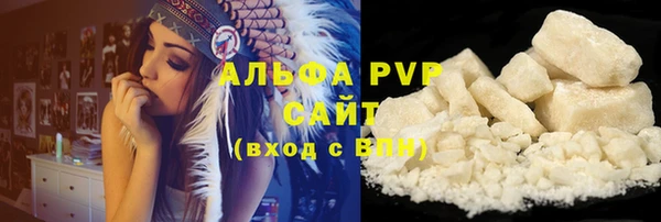 индика Белоозёрский