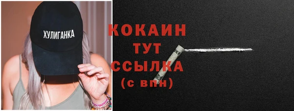 метадон Богданович