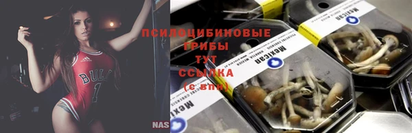 индика Белоозёрский