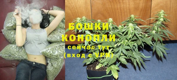 дурь Белокуриха
