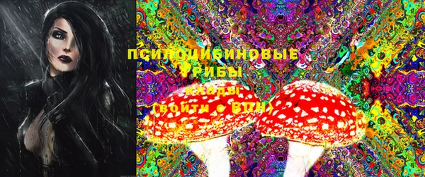 индика Белоозёрский