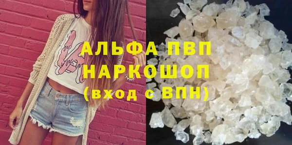 метадон Богданович