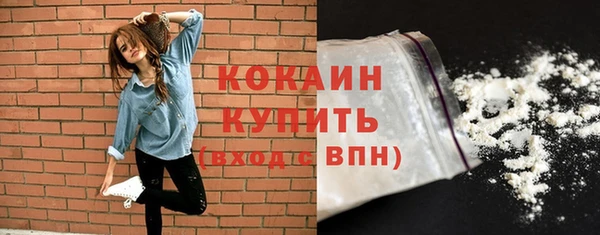 mix Богородск