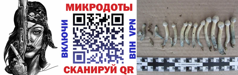 Галлюциногенные грибы MAGIC MUSHROOMS  blacksprut сайт  Наволоки 